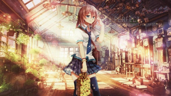 如何判断鱼缸中的硝化系统是否已经成功建立？