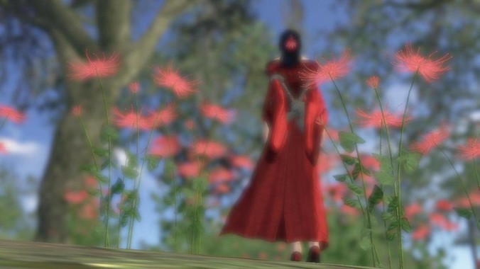 做个web服务器，gin框架和go-zero怎么选？